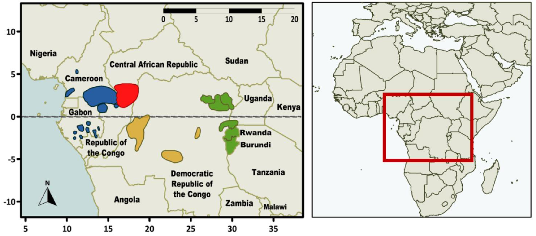 Population interconnectivity over the past 120,000 years explains  distribution and diversity of Central African hunter-gatherers